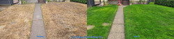 Haller Lake Lawn Renovation Tune Up - Aerating Seeding Fertilizing with Soil Amendments Before and After Fall 2021 Haller Lake Lawn Renovation Tune Up - Aerating Seeding Fertilizing with Soil Amendments Before and After Fall 2021 ~ Social media & website images uploaded and managed by Dulyfixed.com