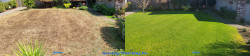 Everett Lawn Renovation - Thatching Aerating Seeding Fertilizer Wetting Agent & Soil Amendment - Full Meal Deal - Fall 2021 Everett Lawn Renovation - Thatching Aerating Seeding Fertilizer Wetting Agent & Soil Amendment - Full Meal Deal - Fall 2021 ~ Social media & website images uploaded and managed by Dulyfixed.com