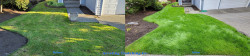 Mill Creek Lawn Renovation Tune Up Aerating Seeding Fertilizing Enhanced Lime and Soil Amendments Before and After Spring 2022 Mill Creek Lawn Renovation Tune Up Aerating Seeding Fertilizing Enhanced Lime and Soil Amendments Before and After Spring 2022 ~ Social media & website images uploaded and managed by Dulyfixed.com