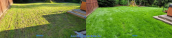 Mill Creek Lawn Renovation Tune Up Aerating Seeding Fertilizing Enhanced Lime and Soil Amendments Before and After Spring 2022 Mill Creek Lawn Renovation Tune Up Aerating Seeding Fertilizing Enhanced Lime and Soil Amendments Before and After Spring 2022 ~ Social media & website images uploaded and managed by Dulyfixed.com