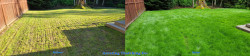 Mill Creek Lawn Renovation Tune Up Aerating Seeding Fertilizing Enhanced Lime and Soil Amendments Before and After Spring 2022 Mill Creek Lawn Renovation Tune Up Aerating Seeding Fertilizing Enhanced Lime and Soil Amendments Before and After Spring 2022