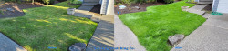 Mill Creek Lawn Renovation Tune Up Aerating Seeding Fertilizing Enhanced Lime and Soil Amendments Before and After Spring 2022 Mill Creek Lawn Renovation Tune Up Aerating Seeding Fertilizing Enhanced Lime and Soil Amendments Before and After Spring 2022 ~ Social media & website images uploaded and managed by Dulyfixed.com