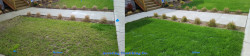 North Seattle Lawn Renovation Tune Up - Aerating, Seeding, Fertilizing, Enhanced Lime and Soil Amendments Before and After Spring 2022 North Seattle Lawn Renovation Tune Up - Aerating, Seeding, Fertilizing, Enhanced Lime and Soil Amendments Before and After Spring 2022 ~ Social media & website images uploaded and managed by Dulyfixed.com