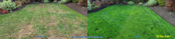 Mill Creek Lawn Renovation - Thatching Aerating Seeding Fertilizer & Soil Amendment - Full Meal Deal - Fall 2022 Mill Creek Lawn Renovation - Thatching Aerating Seeding Fertilizer & Soil Amendment - Full Meal Deal - Fall 2022 ~ Social media & website images uploaded and managed by Dulyfixed.com