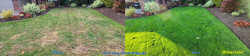 Mill Creek Lawn Renovation - Thatching Aerating Seeding Fertilizer & Soil Amendment - Full Meal Deal - Fall 2022 Mill Creek Lawn Renovation - Thatching Aerating Seeding Fertilizer & Soil Amendment - Full Meal Deal - Fall 2022 ~ Social media & website images uploaded and managed by Dulyfixed.com