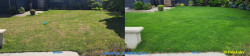 North Seattle Lawn Renovation - Thatching, Aerating, Seeding, Fertilizer & Soil Amendment - Full Meal Deal - Spring 2023 North Seattle Lawn Renovation - Thatching, Aerating, Seeding, Fertilizer & Soil Amendment - Full Meal Deal - Spring 2023 ~ Social media & website images uploaded and managed by Dulyfixed.com