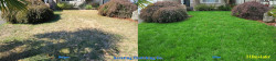 Lynnwood Lawn Renovation Tune Up - Aerating Seeding & Fertilizing Before & After Fall 2023 Lynnwood Lawn Renovation Tune Up - Aerating Seeding & Fertilizing Before & After Fall 2023 ~ Social media & website images uploaded and managed by Dulyfixed.com