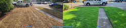 2025 Broadview Fall Lawn Renovation Lime Treatment Soil Amendment Soil Wetting Agent Before and After 2025 Broadview Fall Lawn Renovation Lime Treatment Soil Amendment Soil Wetting Agent Before and After