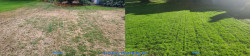 2025 Fall Lawn Tune-Up | Repairing Summer-Damaged Lawns with Soil Amendments & Lime Treatment ~ Social media & website images uploaded and managed by Dulyfixed.com 2025 Fall Lawn Tune-Up | Repairing Summer-Damaged Lawns with Soil Amendments & Lime Treatment ~ Social media & website images uploaded and managed by Dulyfixed.com