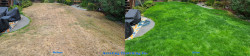 2025 Matthews Beach Fall Lawn Tune-Up | Clay Soil Fix with Lime, Soil Amendments & Wetting Agent ~ Social media & website images uploaded and managed by Dulyfixed.com 2025 Matthews Beach Fall Lawn Tune-Up | Clay Soil Fix with Lime, Soil Amendments & Wetting Agent ~ Social media & website images uploaded and managed by Dulyfixed.com