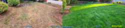 2025 North Seattle Tune Up with Lime Treatment and Soil Amendments ~ Social media & website images uploaded and managed by Dulyfixed.com 2025 North Seattle Tune Up with Lime Treatment and Soil Amendments ~ Social media & website images uploaded and managed by Dulyfixed.com