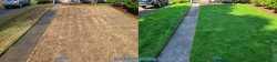 2025 Broadview Fall Lawn Renovation Lime Treatment Soil Amendment Soil Wetting Agent Before and After~Social media & website images uploaded and managed by Dulyfixed.com 2025 Broadview Fall Lawn Renovation Lime Treatment Soil Amendment Soil Wetting Agent Before and After~Social media & website images uploaded and managed by Dulyfixed.com