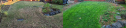 Lake City Seattle Fall Lawn Tune-Up 2025 | Lime Treatment for Acidic Soil & Greener Grass ~ Social media & website images uploaded and managed by Dulyfixed.com Lake City Seattle Fall Lawn Tune-Up 2025 | Lime Treatment for Acidic Soil & Greener Grass ~ Social media & website images uploaded and managed by Dulyfixed.com