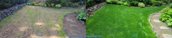 Lake Forest Park Spring Lawn Tune-Up 2025 | Lime Treatment & Soil Amendments for a Thicker, Greener Lawn ~ Social media & website images uploaded and managed by Dulyfixed.com Lake Forest Park Spring Lawn Tune-Up 2025 | Lime Treatment & Soil Amendments for a Thicker, Greener Lawn ~ Social media & website images uploaded and managed by Dulyfixed.com