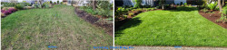 Seattle Spring 2025 Lawn Tune Up Seattle Spring 2025 Lawn Tune Up